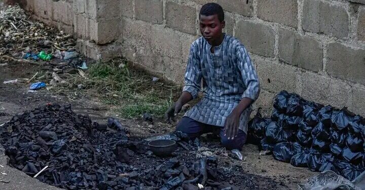 Harkar Da Za Ka Fara Da Naira 10,000