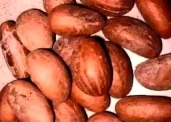 Amfanin Namijin Goro Da Tom-Tom Ga Lafiya – Musamman Ga Ma’aurata