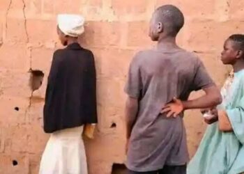 Alfanun Da Ke Cikin Soyayya Da Kwaila