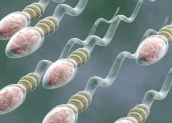 Me Yasa Wasu Maza Ke Fitar Da Maniyyi Da Wuri?