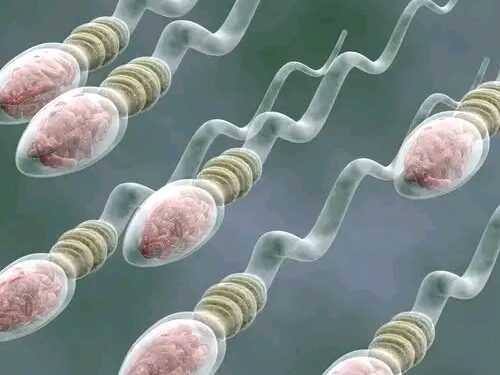 Me Yasa Wasu Maza Ke Fitar Da Maniyyi Da Wuri?