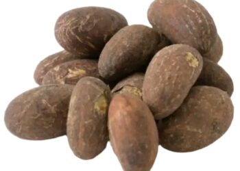 Amfanin Namijin Goro Ga Lafiya: Hanyoyin Amfani da Kuma Illolinsa