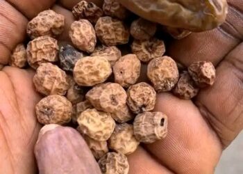 Sirrin Dabino Da Aya Ga Miji Mai Son Ƙarin Ƙarfi A Zamantakewar Aure