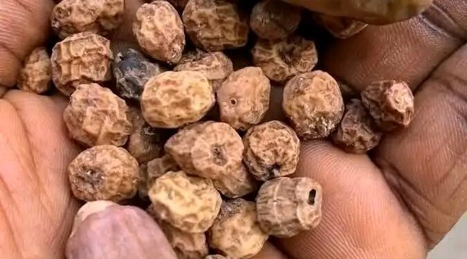 Sirrin Dabino Da Aya Ga Miji Mai Son Ƙarin Ƙarfi A Zamantakewar Aure